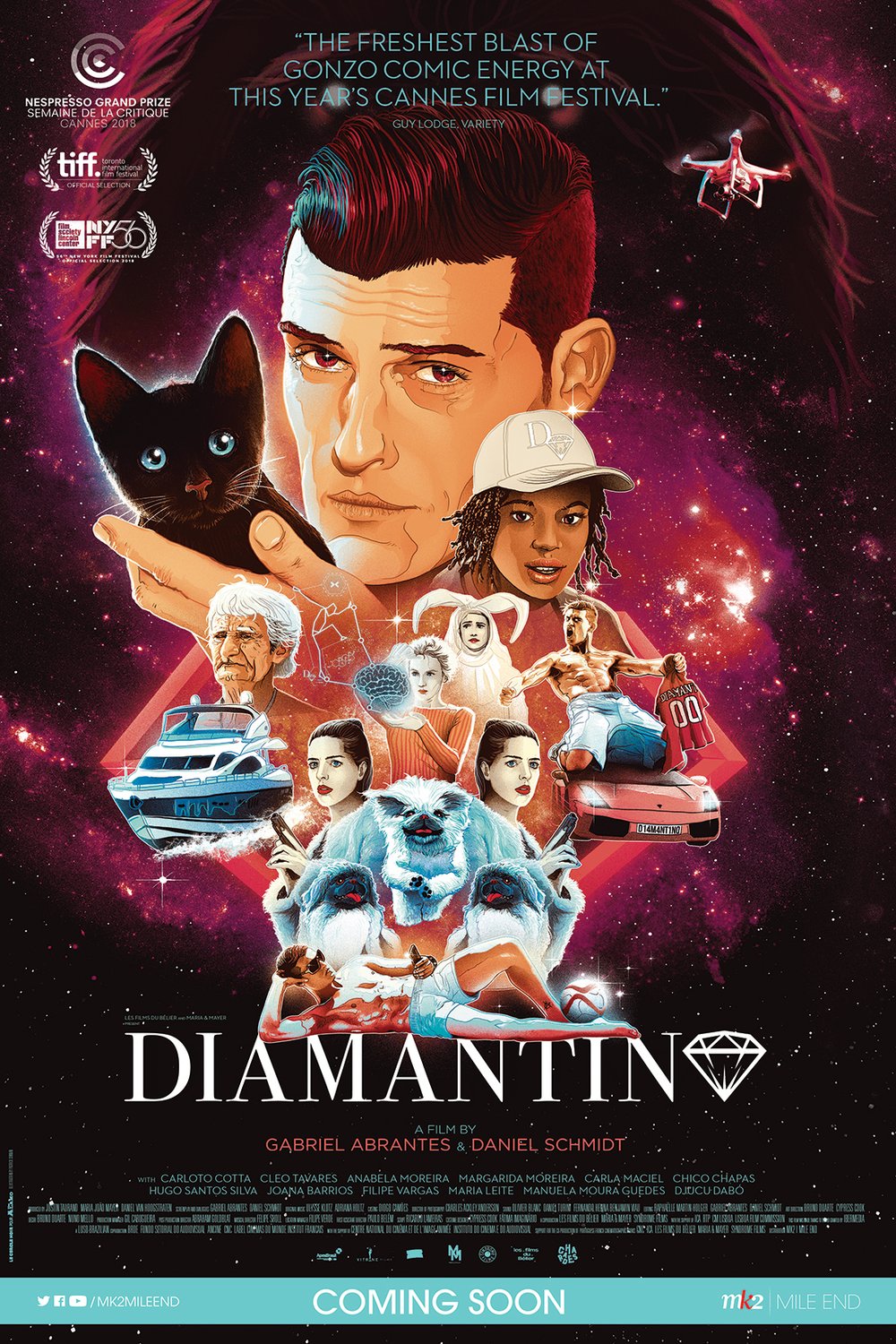 Poster of the movie Diamantino
