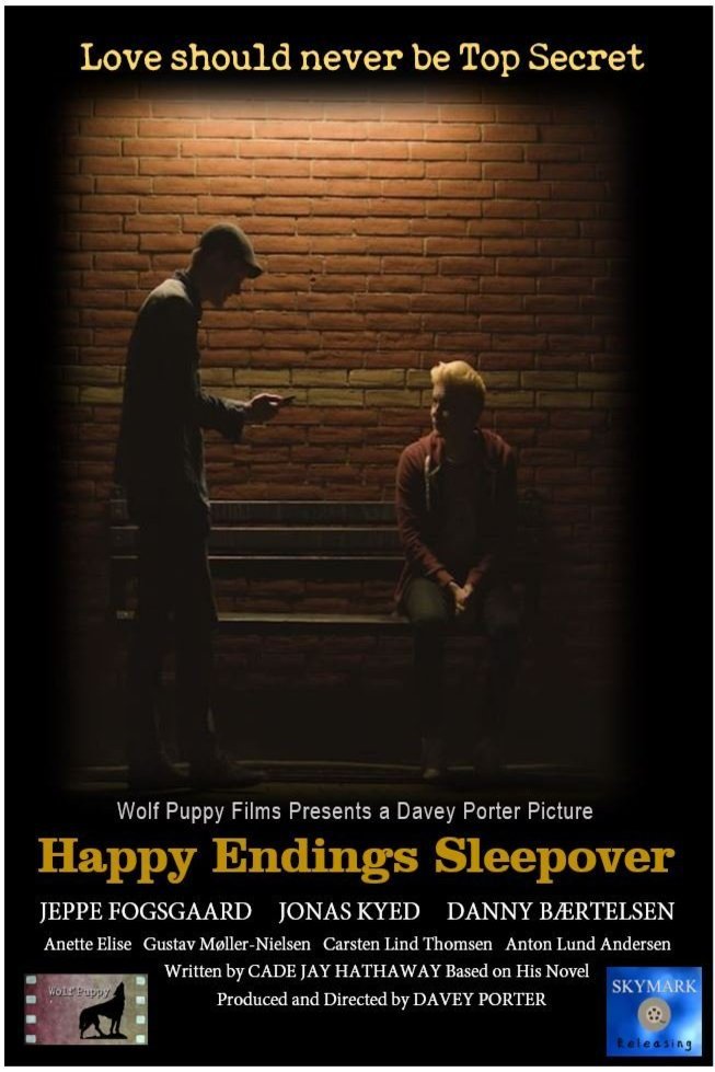 L'affiche du film Happy Endings Sleepover [2019]