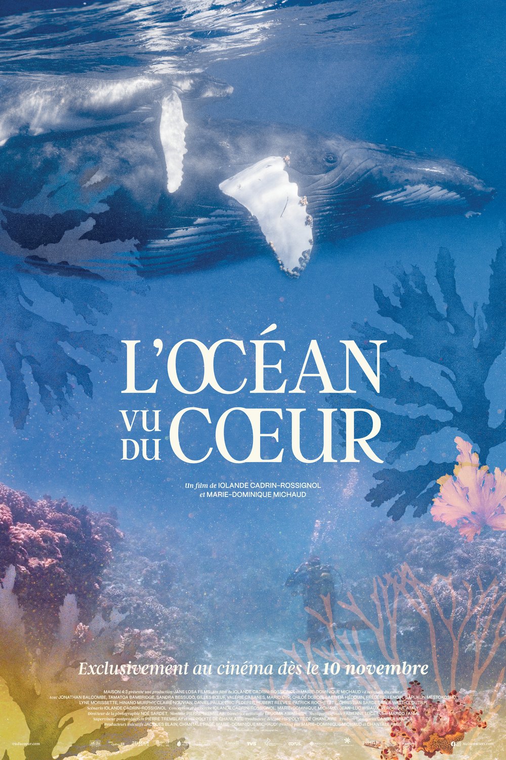 L'affiche du film L'océan vu du coeur [2023]