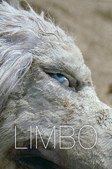 Poster of the movie Limbo