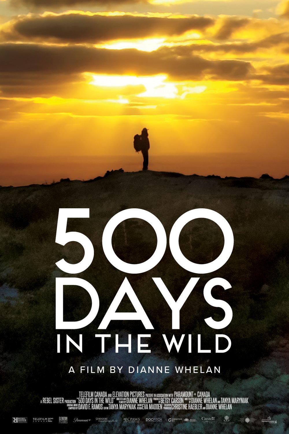L'affiche du film 500 Days in the Wild [2024]