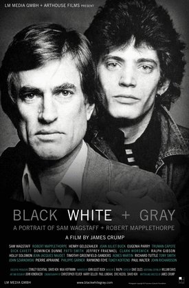 L'affiche du film Black White + Gray: A Portrait of Sam Wagstaff and Robert Mapplethorpe