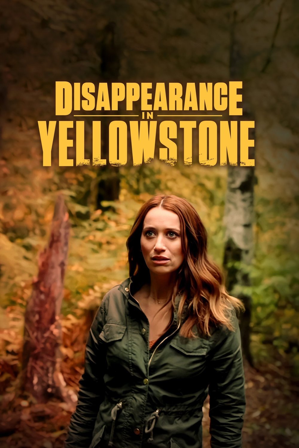 Poster of the movie Disappearance in Yellowstone