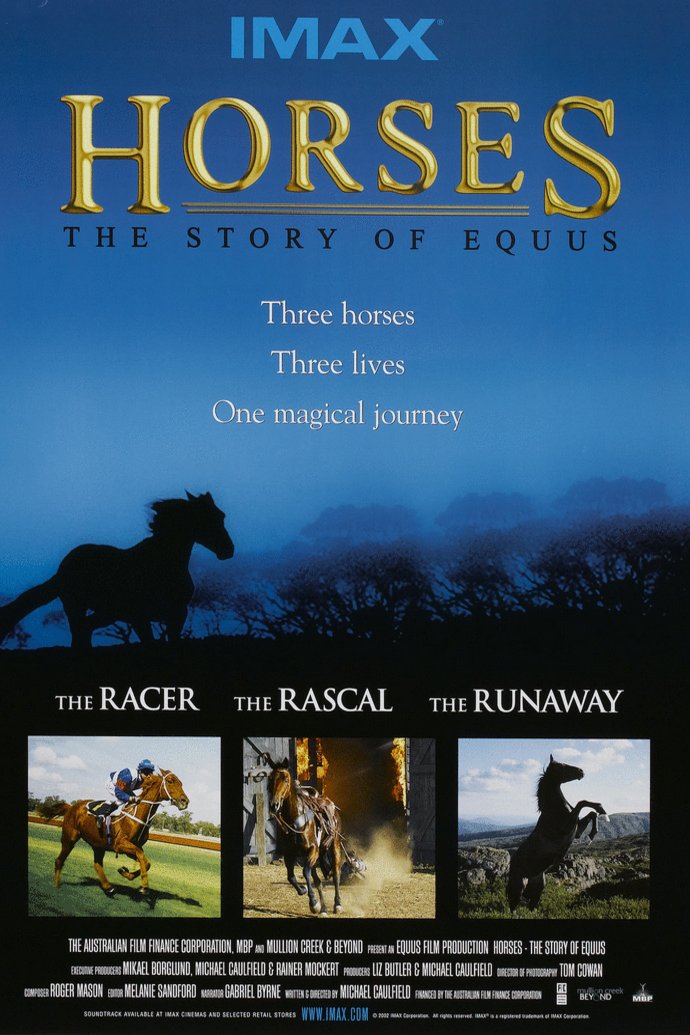 L'affiche du film Trois chevaux: Trois destins