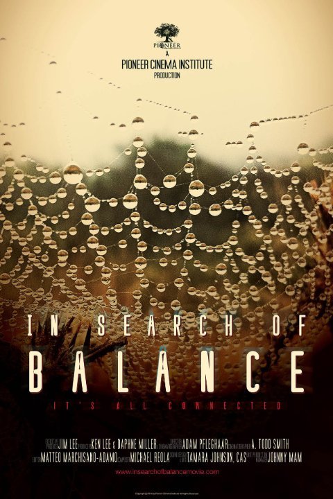 Poster of the movie In Search of Balance