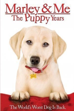 L'affiche du film Marley & Me: The Puppy Years