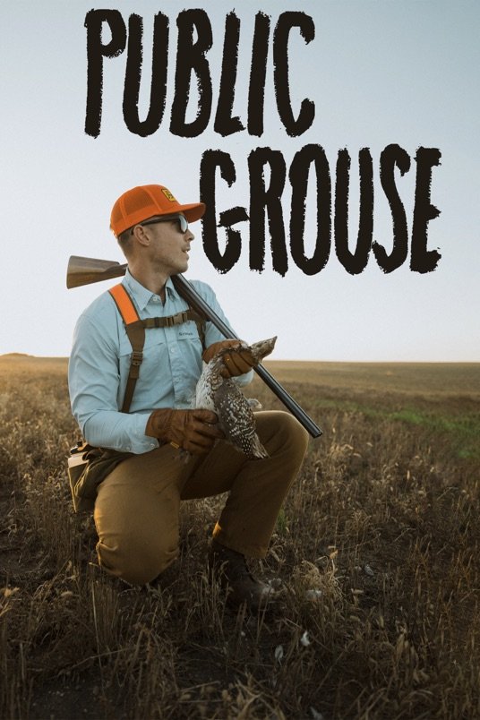 L'affiche du film Public Grouse