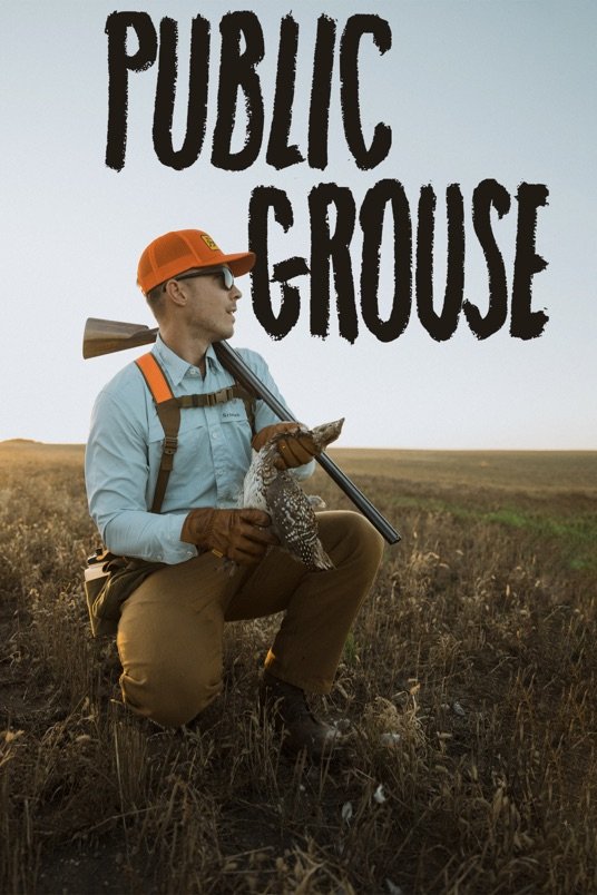 Poster of the movie Public Grouse [2020]