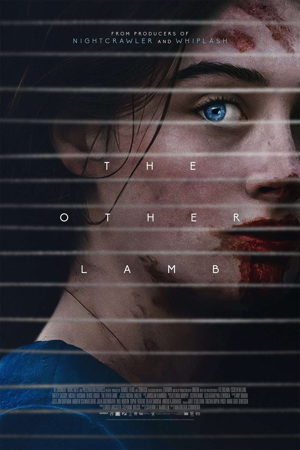 Poster of the movie The Other Lamb