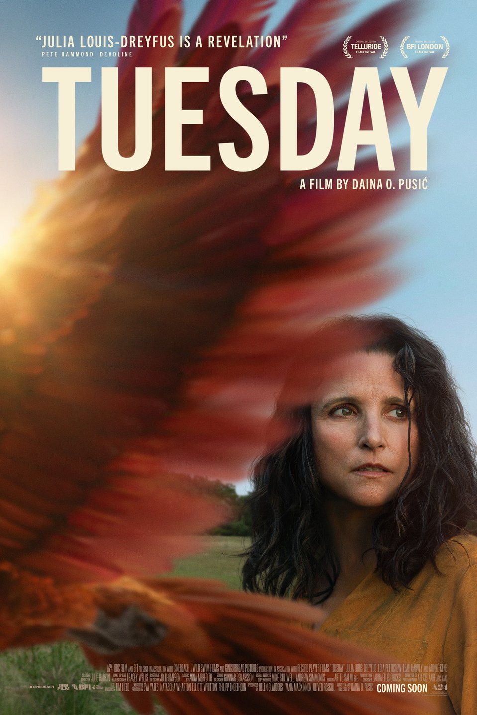 Poster of the movie Tuesday [2023]