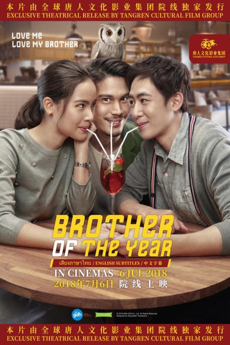 L'affiche du film Brother of the Year [2018]