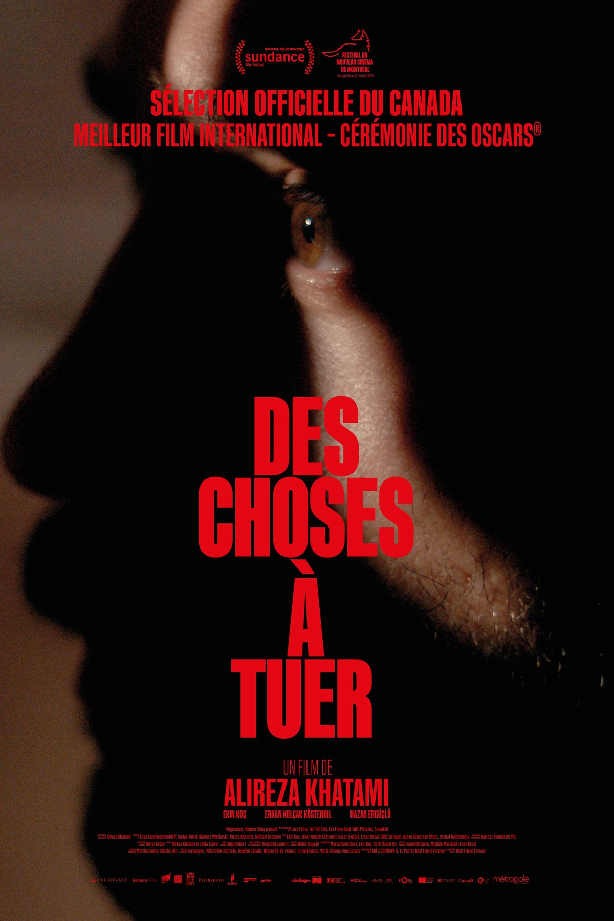 L'affiche du film Des choses à tuer
