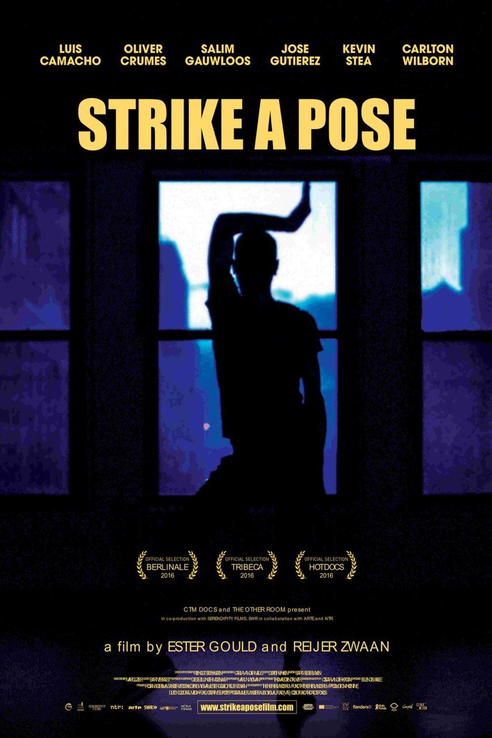 L'affiche du film Strike a Pose [2016]