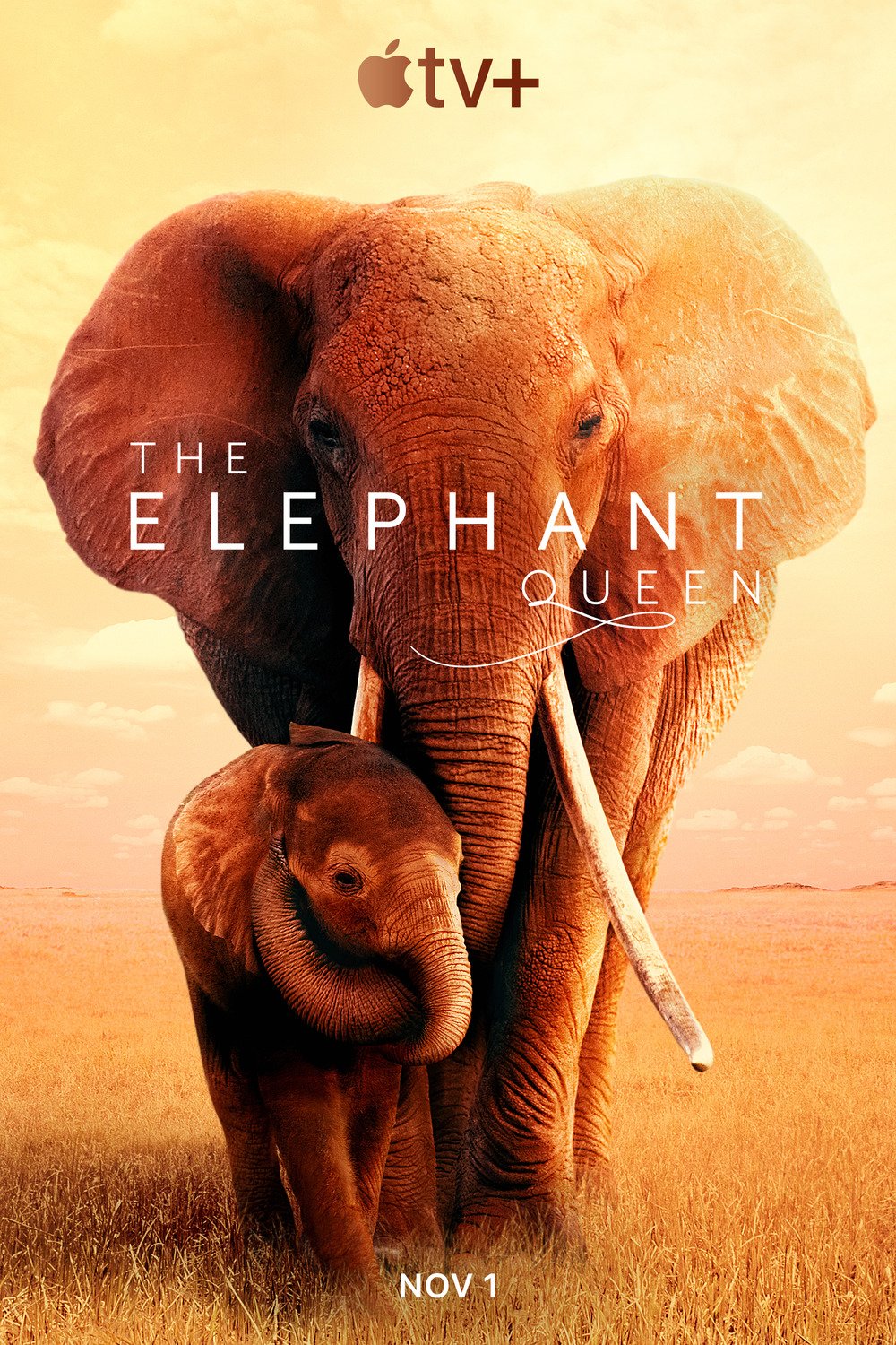 L'affiche du film The Elephant Queen