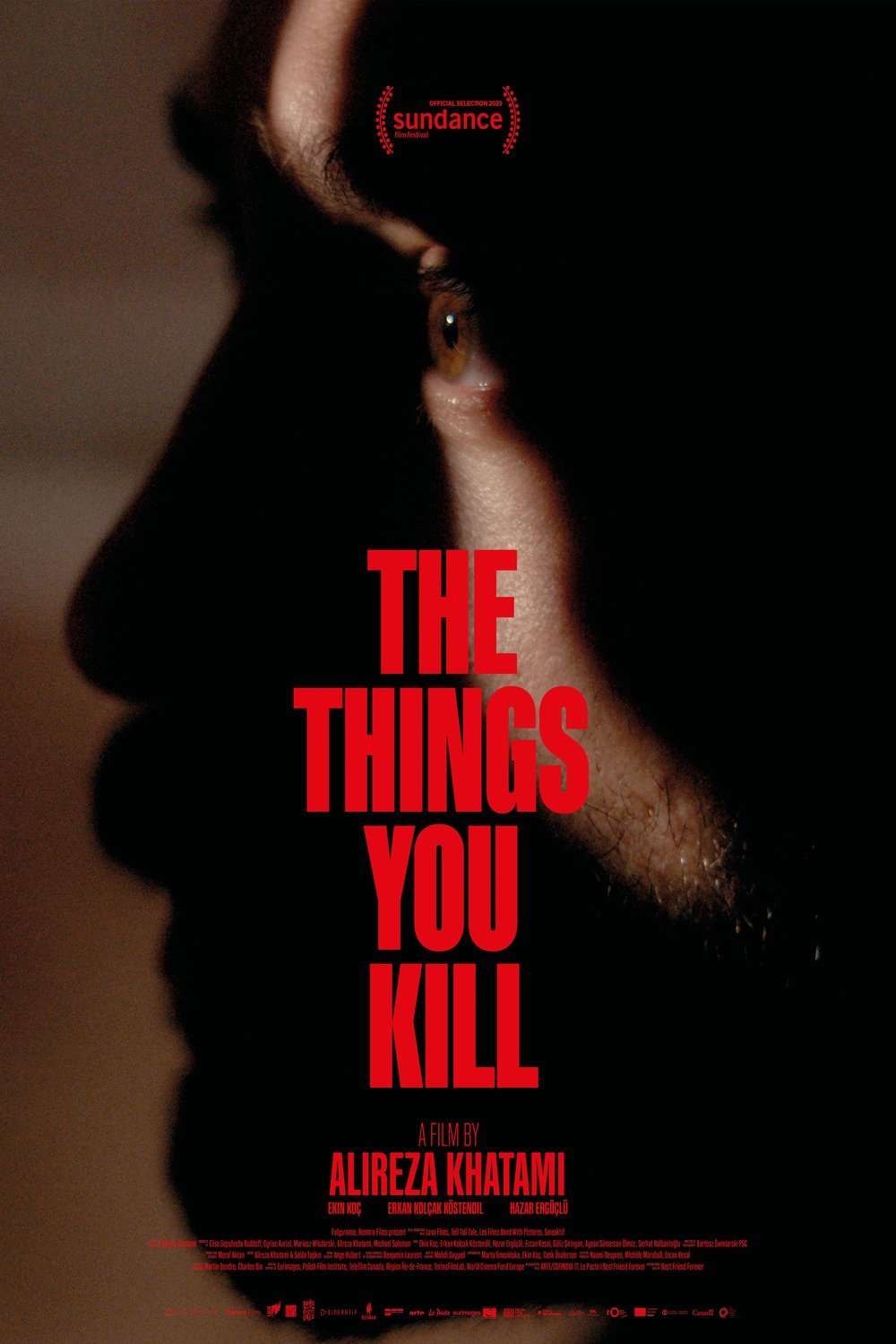 Poster of the movie The Things You Kill