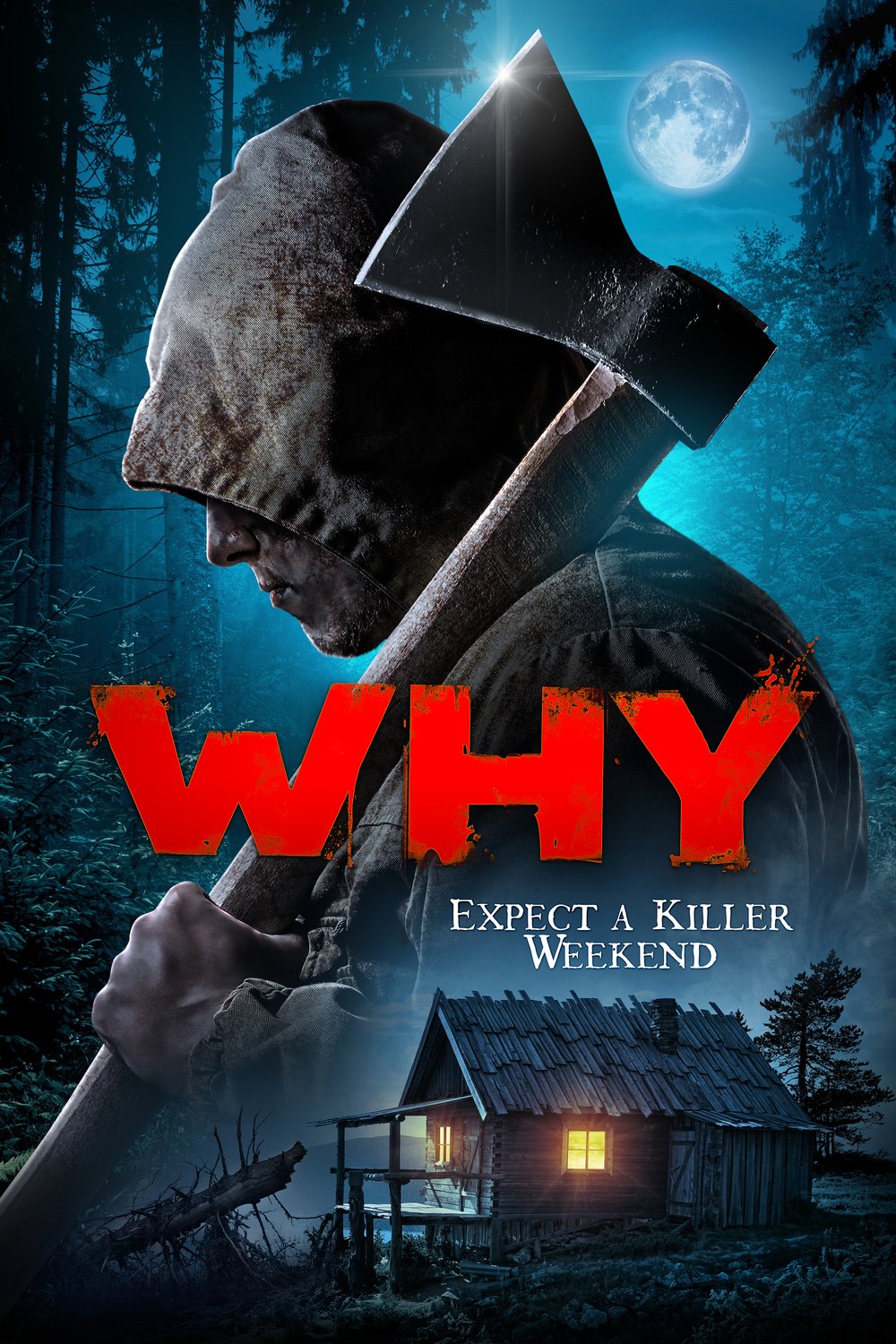 Poster of the movie Why?