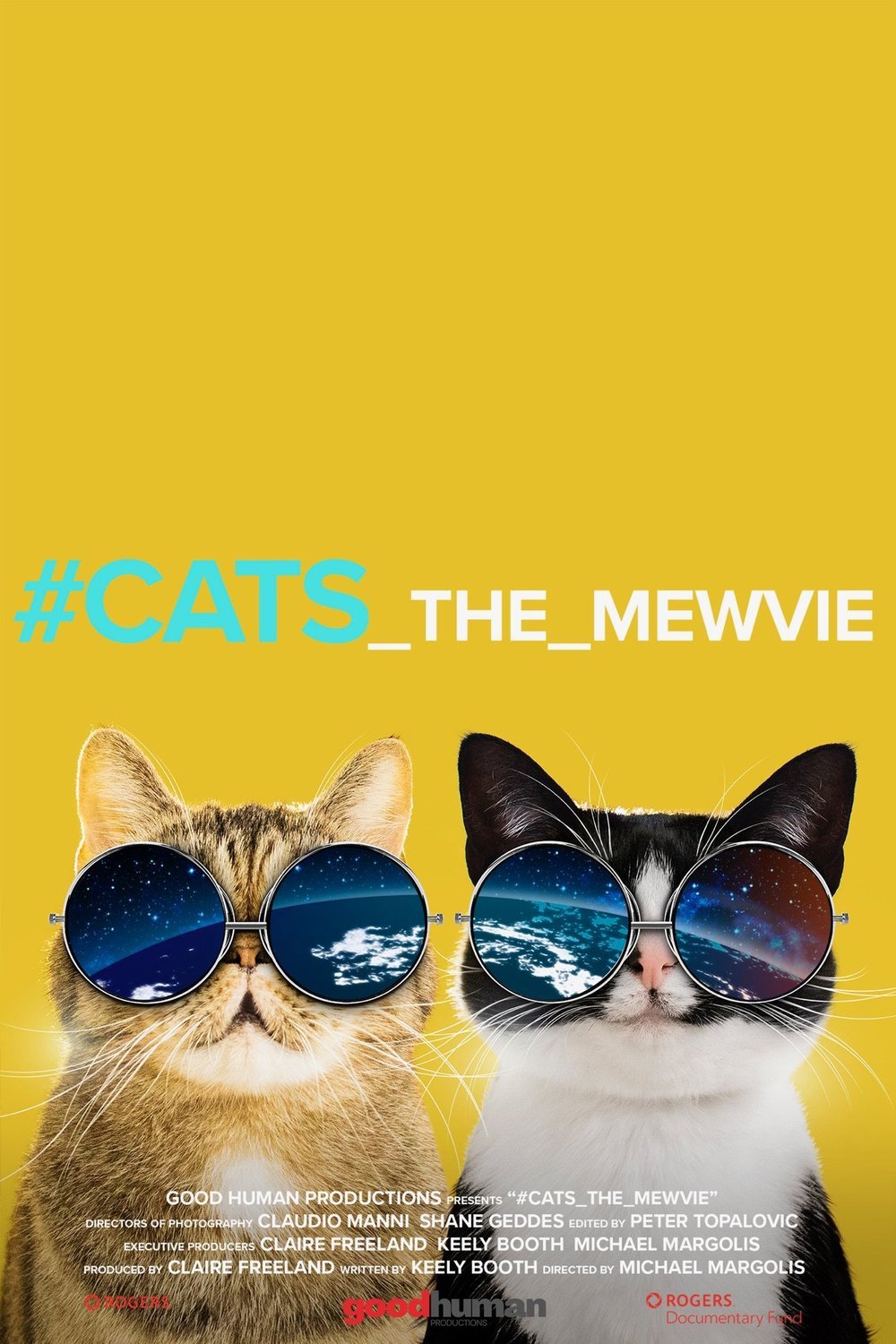 L'affiche du film Cats the Mewvie