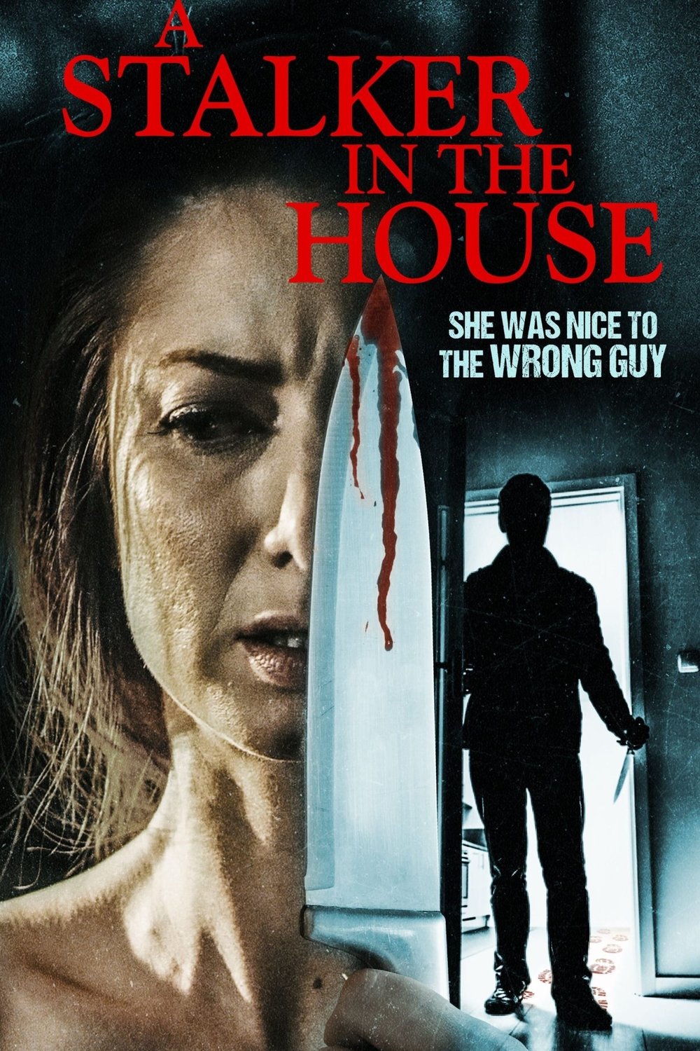 L'affiche du film A Stalker in the House
