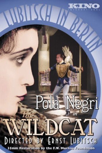 L'affiche du film The Wildcat