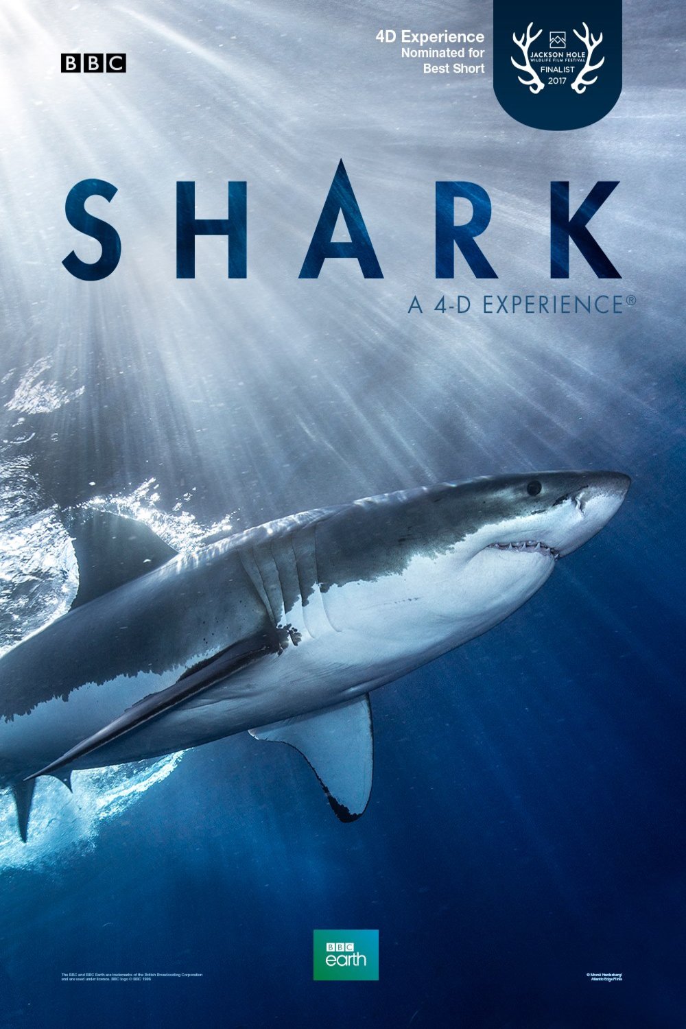 Poster of the movie Shark [2017]