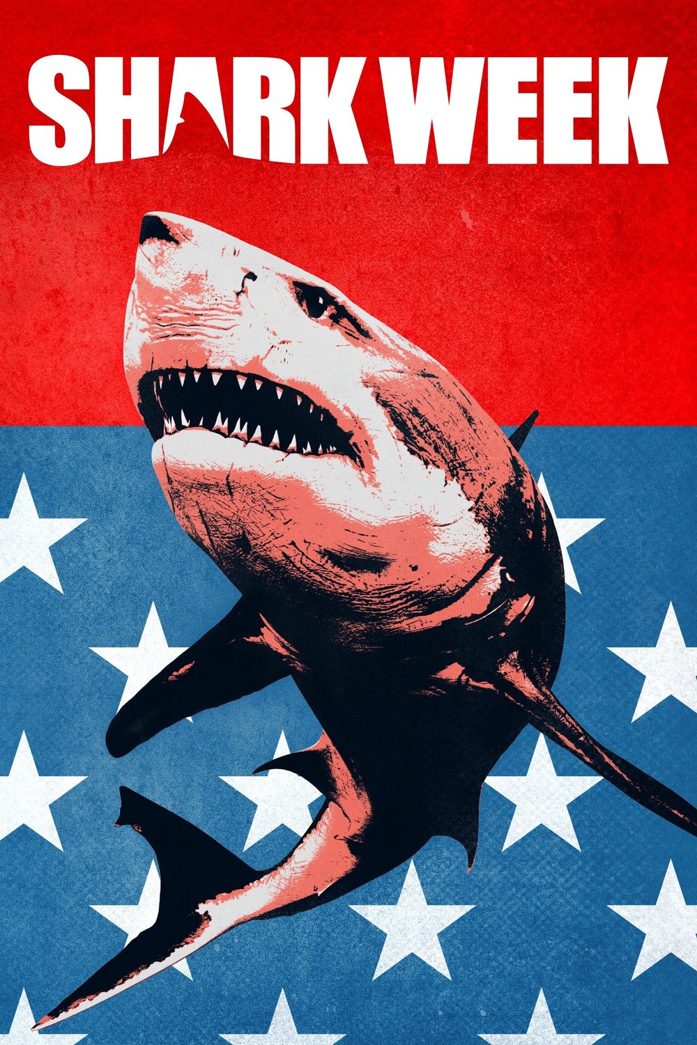 L'affiche du film Shark Week