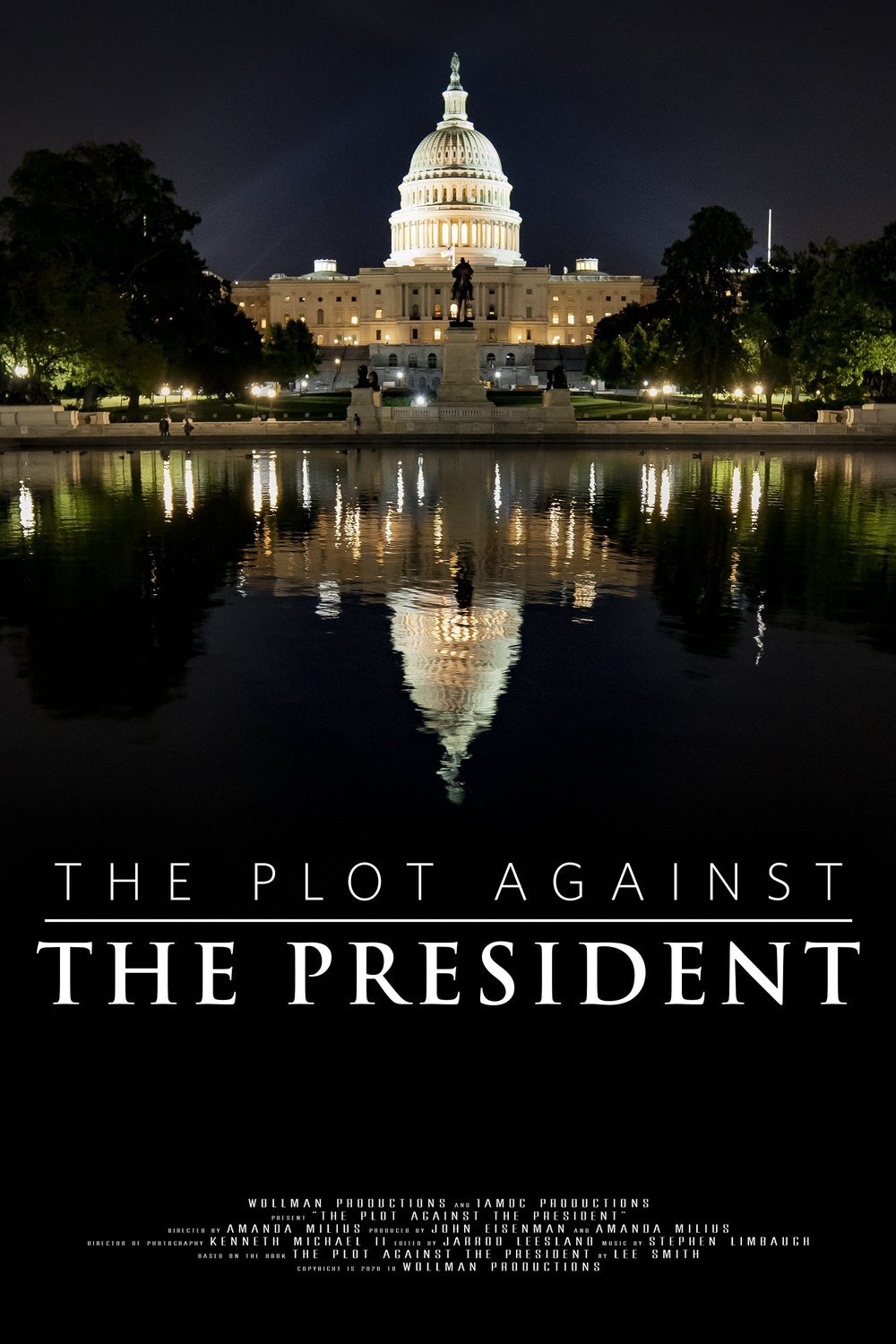 L'affiche du film The Plot Against the President
