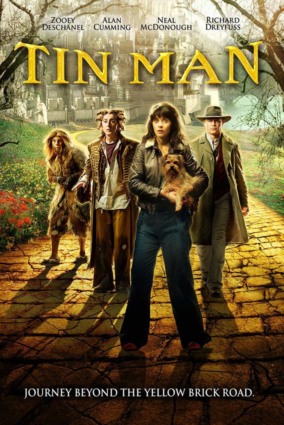 L'affiche du film Tin Man
