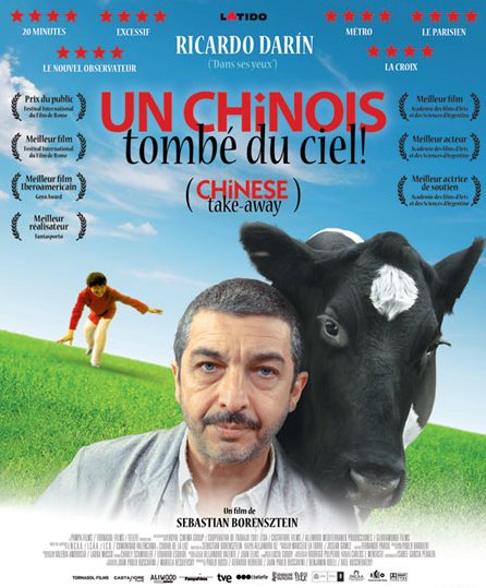 Poster of the movie Un Chinois tombé du ciel