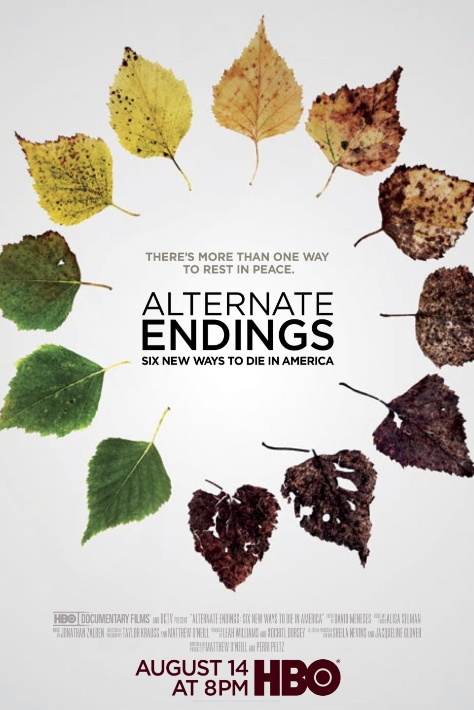 Poster of the movie Alternate Endings: Six New Ways to Die in America