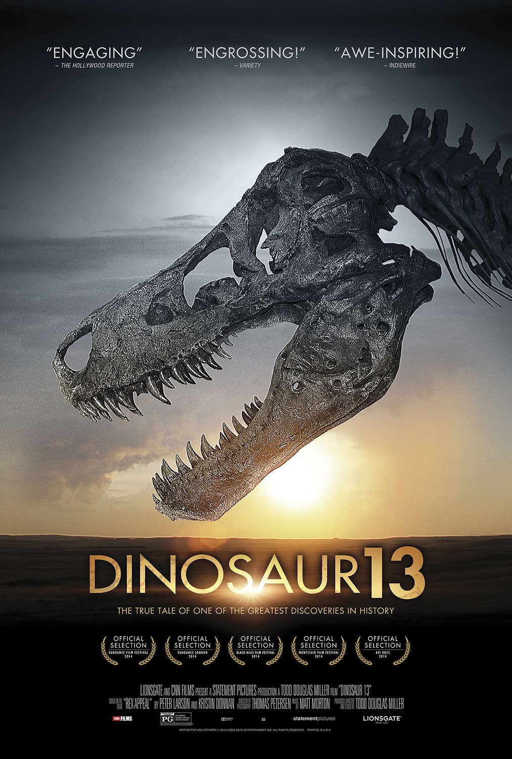 L'affiche du film Dinosaur 13