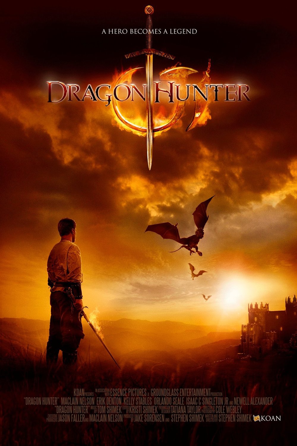 L'affiche du film Dragon Hunter