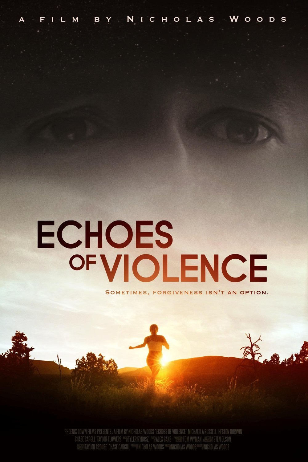 Poster of the movie Echoes of Violence [2021]