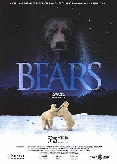 Poster of the movie Les ours