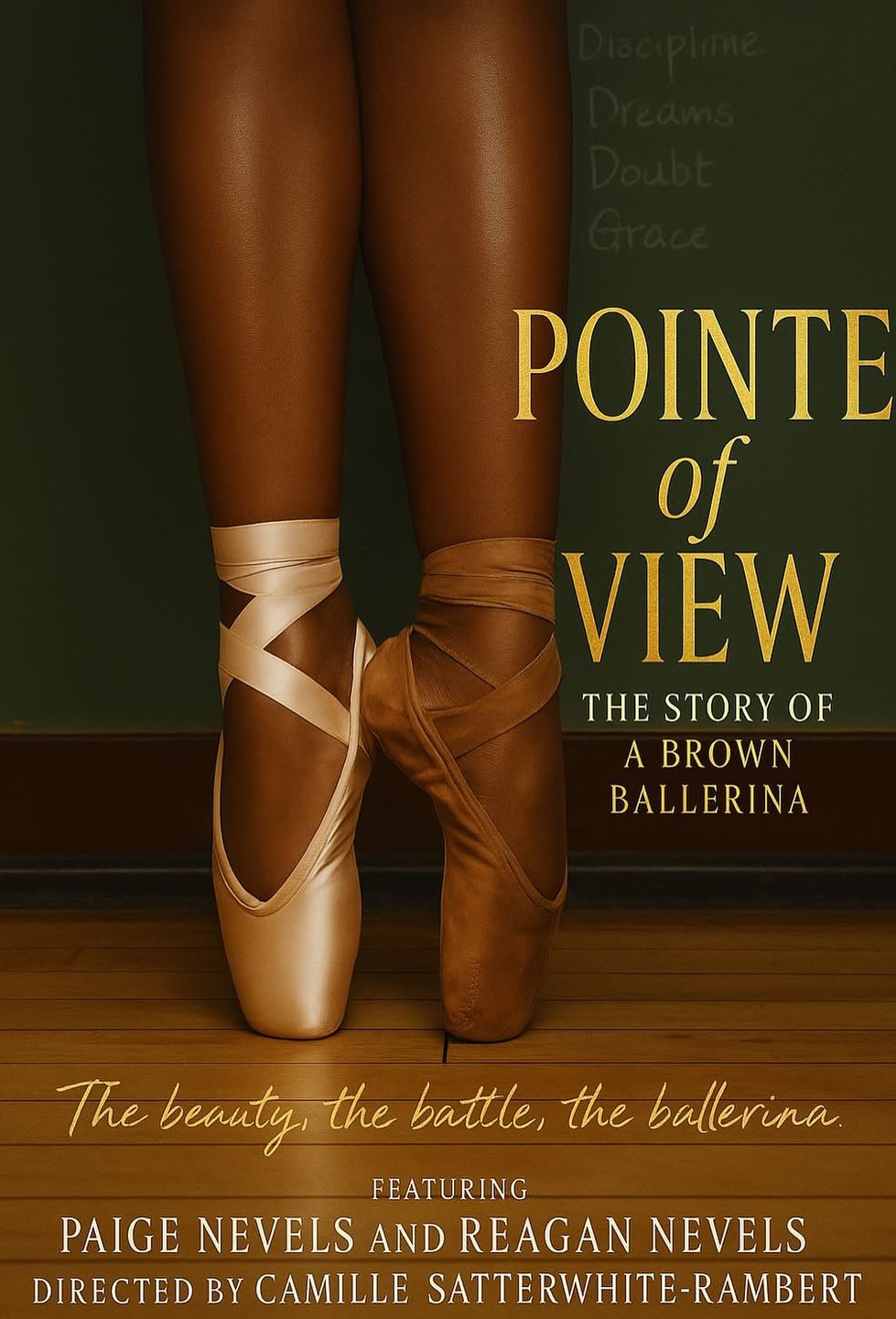 Poster of the movie Pointe of View [2025]