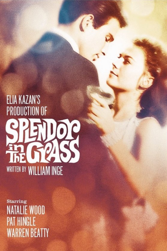 L'affiche du film Splendor in the Grass