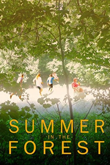 L'affiche du film Summer in the Forest