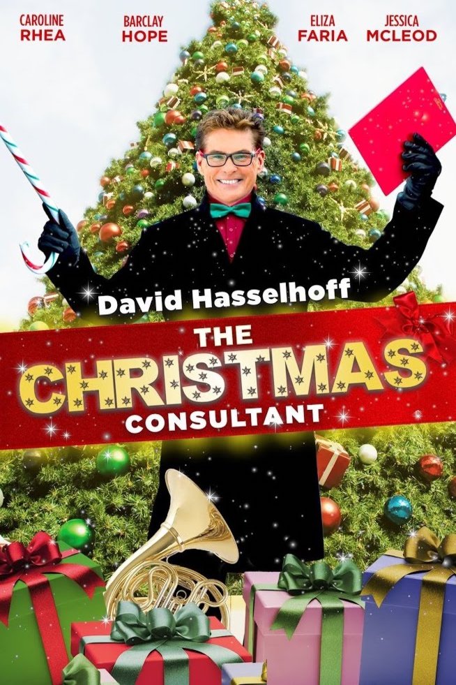 L'affiche du film The Christmas Consultant