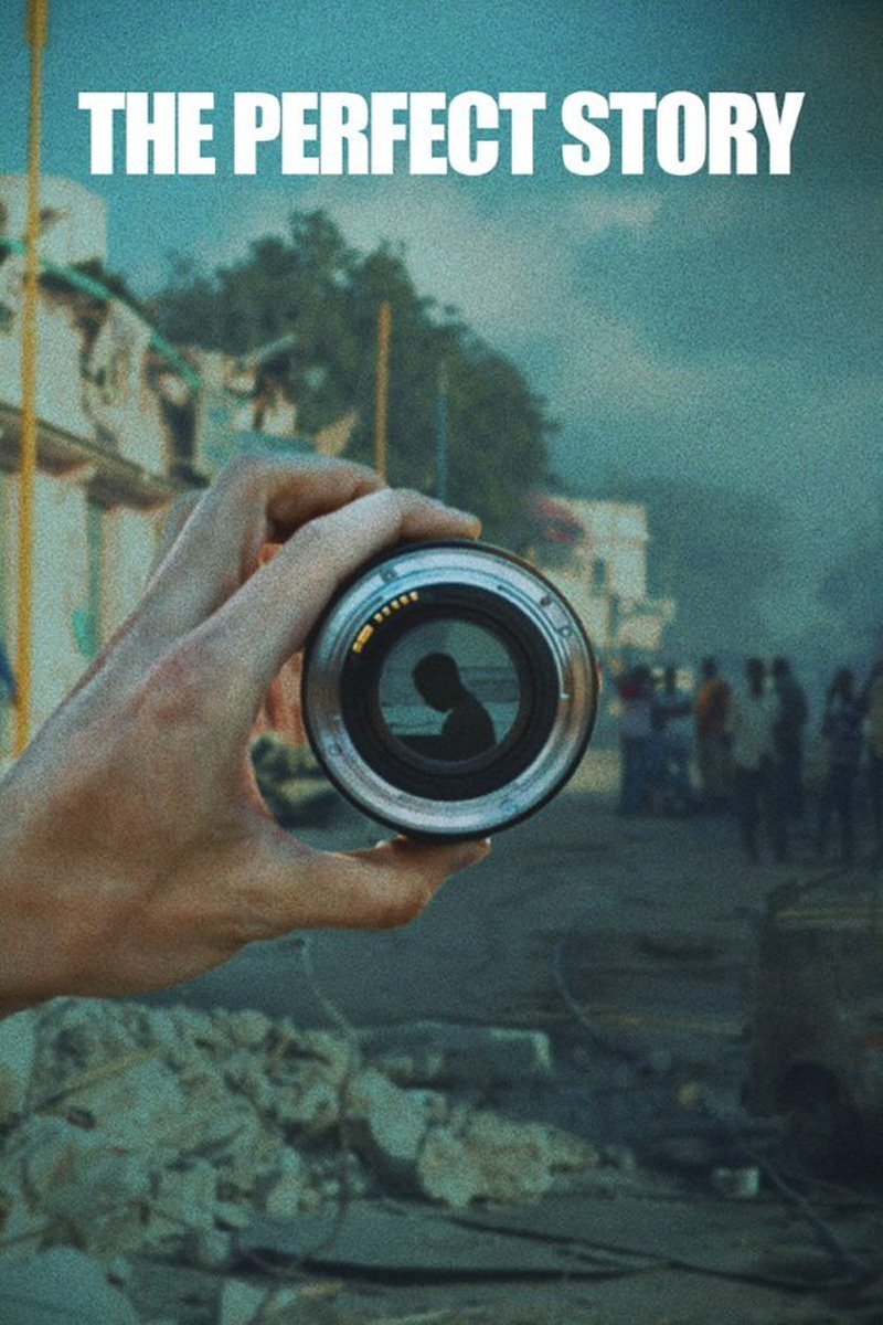 Poster of the movie The Perfect Story [2022]